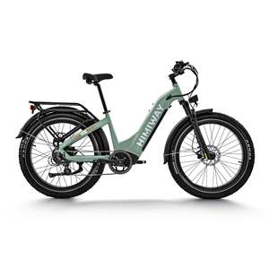 Himiway D5 Premium Tout-Terrain, Moteur Arrière 55Ah 350W, Autonomie 60km, Capteur de Couple/Cadence, Premium Tout-Terrain - Product Image 4