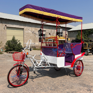 Vélo à trois roues à propulsion humaine, style vintage européen, pour le tourisme, multi-places, personnalisable, à prix abordable - Product Image 3