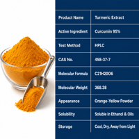 Extrait de curcuma en poudre à 95 % de curcumine, produit très demandé