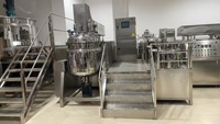 Mélangeur à Circulation Interne Sous Vide Commercial Direct Usine pour la Production de Crème et d'Onguent