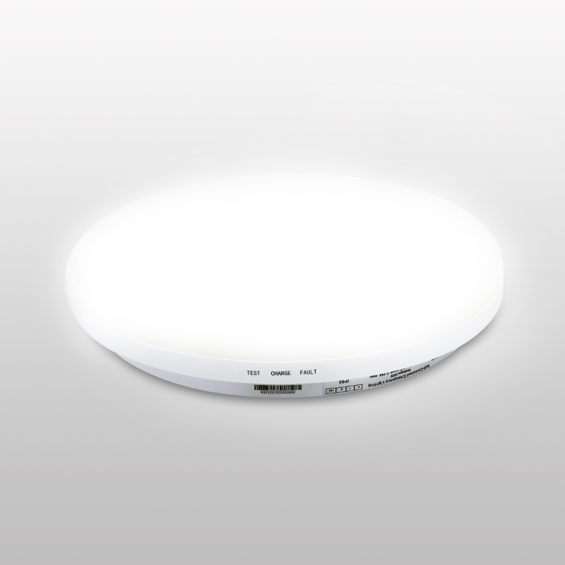 Emergency Lights Modern Led Ceiling Light CE CB IP65 Waterproof Design 18w 15w Price Wall Mounted 96pcs SMD 2835 220-240V 1450lm