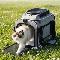 Sac de transport pour animaux de compagnie de grande capacité avec bandoulière, pliable, en maille, pour chat