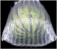 Sac à colonnes d'air en PA/PE épaissi, anti-perforation et anti-compression, pour 13/15 fruits (Kirin, Pastèque, Melon Hami), vente en gros usine