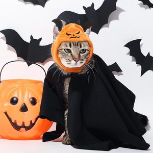 Huhumy - Gorro de Calabaza de Halloween para Gatos, Disfraz Ajustable para Mascotas, Gorro de Lana para Perros Pequeños y Medianos, para Fiestas de Halloween - Product Image 5