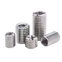 Stainless Steel Thread Adapter Inserts Inch Internal/External Thread Reducer Sleeves (M8toM6/M8 M5/M6 M4/M5toM3) Polished Finish