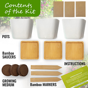 Kit de <span class=keywords><strong>jardín</strong></span> de hierbas para interiores, cocina completa, alféizar de ventana, <span class=keywords><strong>jardín</strong></span> de hierbas, hierba orgánica para interiores, regalos de jardinería, Kits de bricolaje para <span class=keywords><strong>mujeres</strong></span> y hombres - Product Image 2