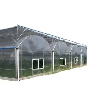 Aquaponics Compleet Groeiende Systemen Verticale Hydrocultuur Greenhouse Farm Leverancier