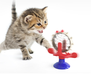 Juguete Interactivo para Gatos, Moderno, Ecológico, con Diseño de Dibujos Animados, Recargable, con Molino de Viento Giratorio y Bola, Venta al Por Mayor de Fábrica - Product Image 5