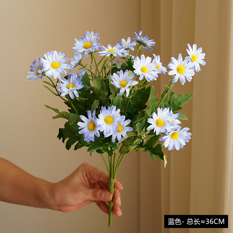 #4 Daisy
