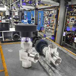 Pompe à eau manuelle basse pression 1000W avec mini-vanne à aiguille et raccord fileté NPT ou BSP mâle ou femelle - Product Image 2