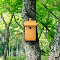 Nichoir à oiseaux en bois fabriqué en bois d'épinette de haute qualité - Version premium vernie 32 mm ou 28 mm
