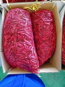 سعر جيد حار بيع الفلفل الحار الطبيعي المجفف الأحمر الساخن الفلفل الحار كبير جاف الفلفل الأحمر مع السيقان - Product Image 3