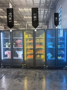 Enfriador de Bebidas <span class=keywords><strong>Coca</strong></span> <span class=keywords><strong>Cola</strong></span> con Puerta de Vidrio, Doble Puerta, Logotipo Personalizado para Distribuidores y Proveedores de Marca - Product Image 2