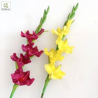 Bunga Gladiolus Anggrek PU Buatan 4 Tangkai Gaya Eropa, Sentuhan Realistis, Dekorasi Rumah & Hotel