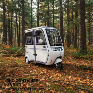 Tricycle électrique avec moteur 2000W, pour le transport de marchandises <span class=keywords><strong>et</strong></span> de passagers, taxi, livraison de nourriture, CKD, Pérou, <span class=keywords><strong>Bolivie</strong></span>, Équateur, robuste, tout-terrain, avec 4 portes - Product Image 1