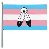 Drapeau de fierté LGBTQ+ double face 3x5 pieds, bannière non binaire Two Spirits avec mât en fibre de verre pour usage extérieur et intérieur