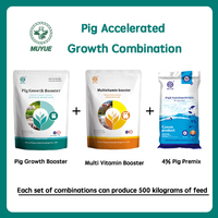 Stimulant de croissance pour porcs, Aliment de croissance pour porcs, Supplément alimentaire pour porcelets, Alimentation pour porcs, Nourriture pour porcs