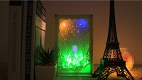 Boîte à lumière en papier avec forêt et wapiti, peintures lumineuses, lanterne en papier, modèle créatif 3D, cadeau familiale
