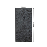 Panneau Mural Décoratif en Fausse Pierre de Polyuréthane (PU) 60 x 30 cm à Prix Bas, Imitation Pierre Artificielle pour la Maison