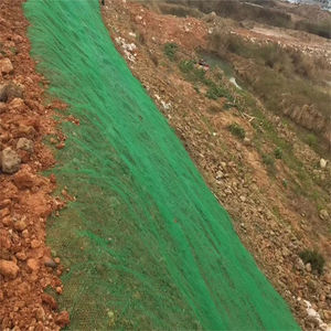 Precio bajo de fábrica de alta resistencia tridimensional plantación de hierbas 3D Geomat manta Mat Control de erosión Geomat precio - Product Image 1