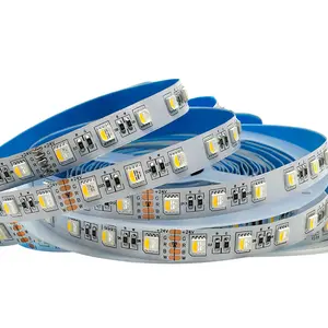 A5050 60-LEDs 10mm 12mm Wide Rgbw Led Strip 24V 12v Input For Garden With WiFi Remote Control