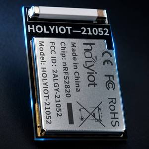 Módulo Bluetooth BLE 5.3 NRF52820 de 2.4GHz, Transmisor y Receptor RF Inalámbrico, Venta Directa de Fábrica Holyiot, <span class=keywords><strong>Precio</strong></span> Económico - Product Image 2