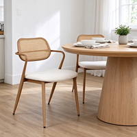 Fauteuil de salle à manger moderne en rotin avec dossier en bois et structure métallique rembourrée pour appartement, atelier, restaurant, café