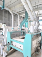 Moteur multifonction haute capacité et longue durée de vie pour ligne de production de farine de blé, idéal pour l'investissement dans les petites entreprises de mouture