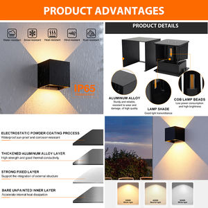 Usine directe Hôtel Village décoration intérieure extérieure haut et bas 6w 10w noir aluminium mur LED lumière - Product Image 2