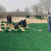 Grilles de renforcement alvéolaires en plastique HDPE pour pelouses et parkings, épaisseur personnalisable