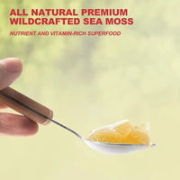 LIFEWORTH Gel de mousse de mer et huile de graines noires Ashwagandha Gingembre riche en minéraux Vitamines Supefood disponible en vente immédiate