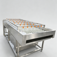 Commerciële 304 roestvrijstalen borstelwasmachine Automatische fruit- en groentewasmachine voor aardappel, wortel, appel, citrusvruchten