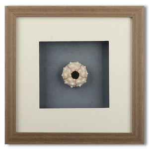 Original Art Factory Vente en gros plastique décor belle conque toile tenture <span class=keywords><strong>murale</strong></span> peinture cuir boîte hôtel maison mur Art - Product Image 1