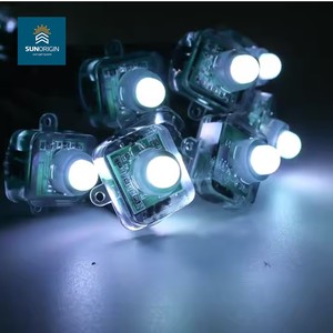 Bán buôn Led RGB vuông ws2811 kỹ thuật số 12 mét ánh sáng IP68 giáng sinh 0.6 Wát squarel màu LED điểm pixel ánh sáng - Product Image 1