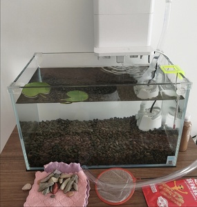 <span class=keywords><strong>Acquario</strong></span> in Vetro Ultra-Trasparente per Decorazione da Scrivania con Design Moderno e Vasca per Pesci - Product Image 2