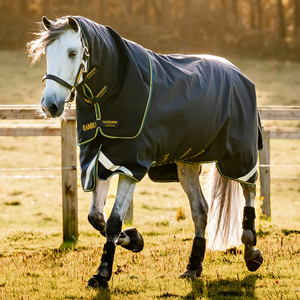 Lightweight Winter Stable Sheet Horse Rug Standard Neck Portable Equestrian <b>Blanket</b> with 2 Leg Straps for Cold - Product Image 6