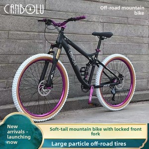 Bicicleta de Montaña con Suspensión Trasera Blanca, para Adultos, Unisex, con Amortiguación, Cambios Variables, Frenos de Disco Dobles, Ruedas de 26 Pulgadas, VD21 Soft-Tail Fr - Product Image 5