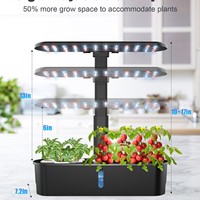 Jardinière hydroponique intelligente d'intérieur pour plantes, fleurs et succulentes ; culture sans terre, système breveté de croissance des plantes