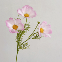 Vente en gros de fleurs de chrysanthème marguerite artificielle à 3 têtes Cosmos Bipinnatus faites à la main décoration de mariage pour l'obtention du diplôme