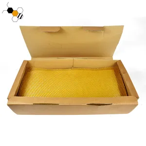 蜂产品散装塑料蜂蜡梳基础蜂蜡基础板