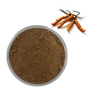 Poudre d'extrait de Cordyceps CS-4/Cordyceps Militaris/Cordyceps Sinensis de haute qualité, emballée sous vide dans un fût - Product Image 2