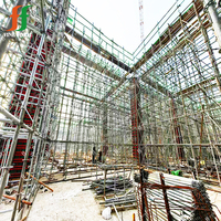 Sistema de Andamios Industriales Ringlock FINEFORM, Acero Galvanizado Resistente a la Corrosión, Alta Resistencia, Construcción de Edificios, Uso en Exteriores