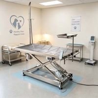 Table d'opération vétérinaire électrique en acier inoxydable avec élévateur à ciseaux pour hôpital vétérinaire