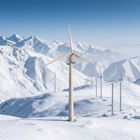Éolienne à axe horizontal 220 V 2026 Light Wind Mill à 3 pales pour maison et ferme