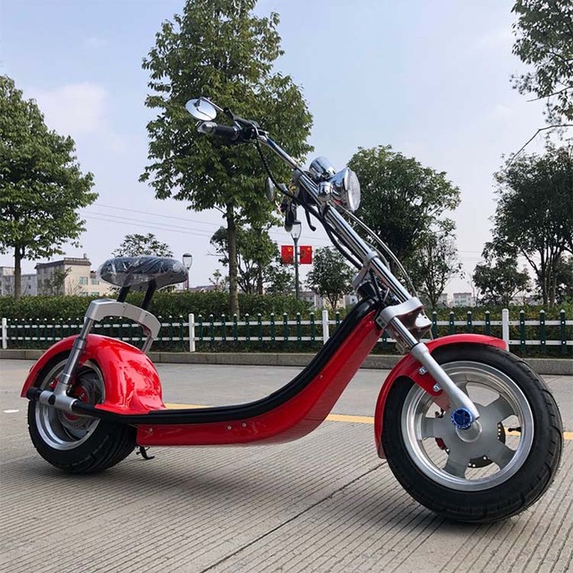 Hot Seller Electric Scooter with 1000W Fat Tire
