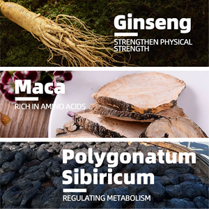 OEM ODM Listo para Enviar, Bolsitas de Té para el Bienestar Masculino, Mezcla Natural de Ginseng, Maca y Polygonatum, Apoya la Vitalidad Masculina, 20 Bolsitas - Product Image 6