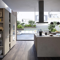 Meubles de cuisine de style moderne sur mesure, îlot de cuisine en contreplaqué, armoires de cuisine pour appartement