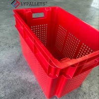 LYPALLETS Caisses de stockage et de logistique pour fruits et légumes, caisses à légumes de qualité alimentaire, caisses/paniers pliables en plastique