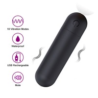 Vibrateur miniature rechargeable par USB à 10 fonctions, œuf vibrant pour couples adultes, masturbation féminine, vibrateur urétral personnel, jouet sexuel