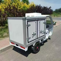 Tricycle réfrigéré de livraison de crème glacée de nourriture de charge utile élevée de trois roues de cargaison de corps fermé